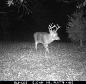 Meet your Posher, Neal